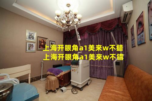 上海开眼角a1美来w不錯 上海开眼角a1美来w不错